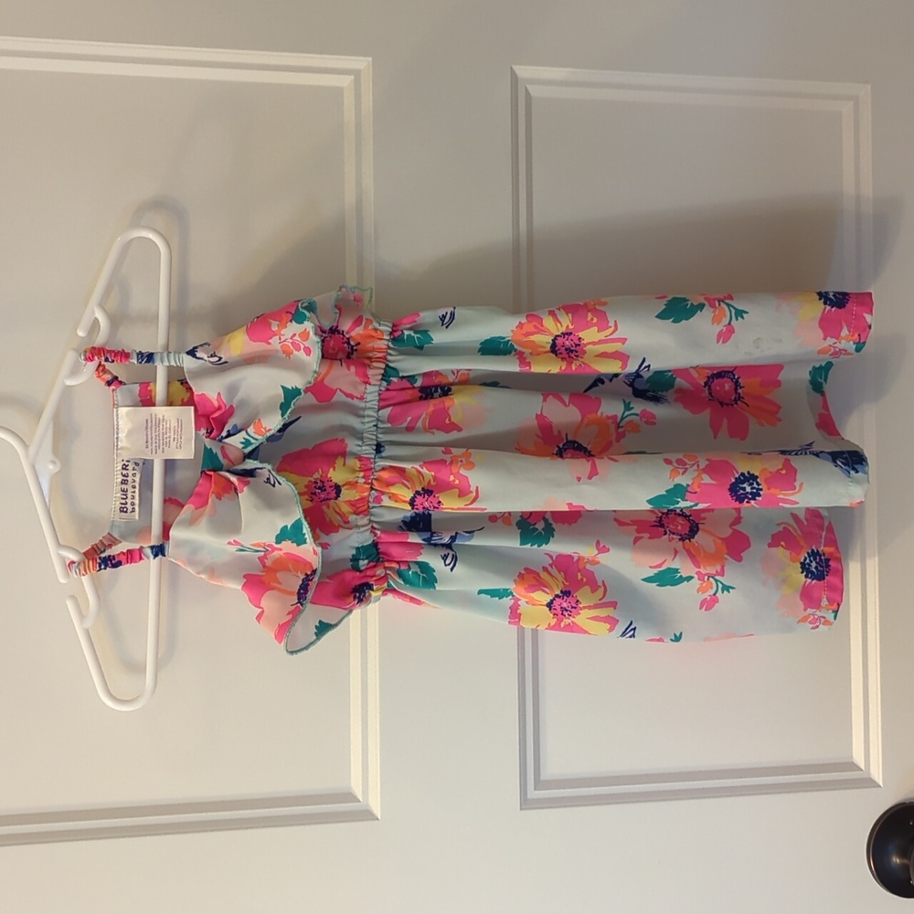 Blueberi boulevard hummingbird and flowers dress 24 month